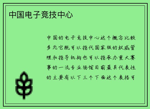 中国电子竞技中心
