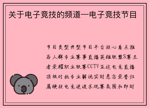 关于电子竞技的频道—电子竞技节目